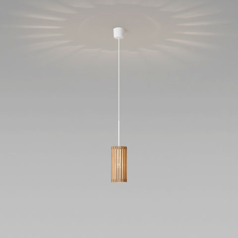 CESTA/セスタ ペンダント 丸型 Φ112　SAP-034-1